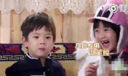 吃瓜八卦娱乐圈视频合集,揭秘热门视频合集背后的八卦故事